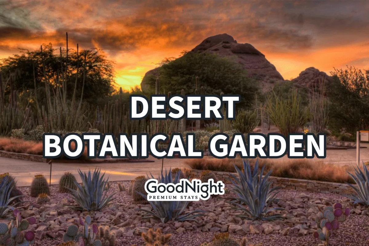 A tranquil pathway winds through desert landscaping, with cacti and other native plants flanking the trail. Rock formations rise in the background, suggesting an inviting space for leisurely walks and opportunities for pets to explore nature. The lighting hints at either early morning or sunset, enhancing the calming mood.